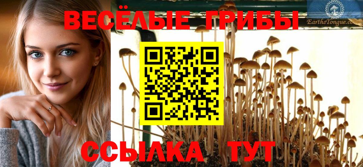 Псилоцибиновые грибы Psilocybe Нефтекамск